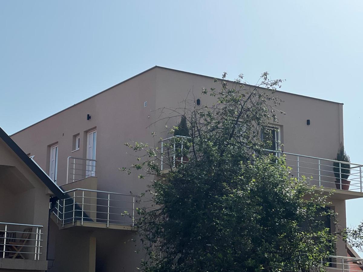 Apartman Scepanovic Nikšić Extérieur photo
